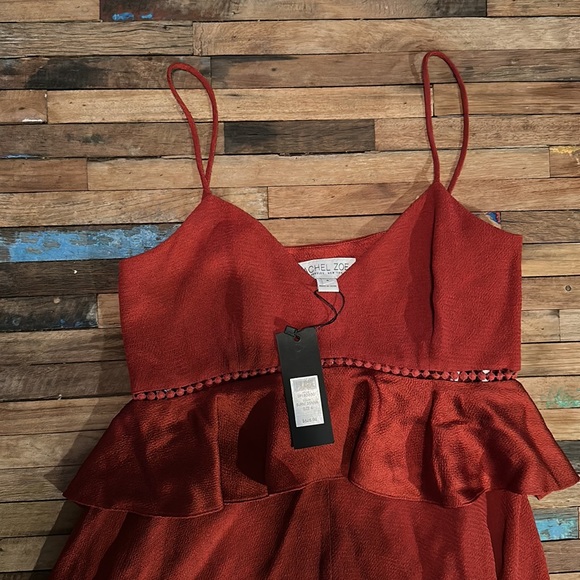 Rachel Zoe Burnt Sienna Dress Sz 4 **NWT** - Picture 4 of 11